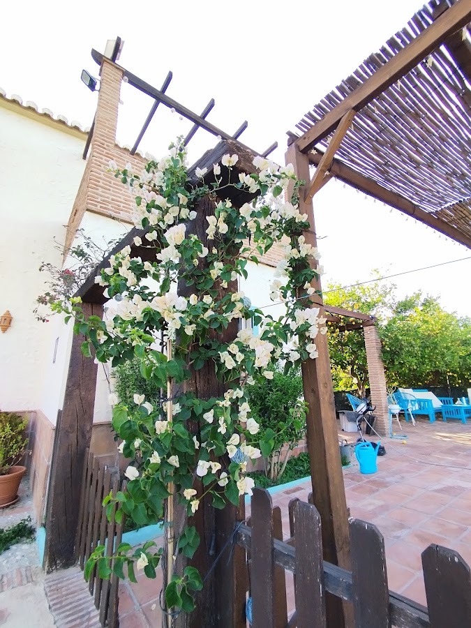 Casa rural la estrella. Pizarra [Málaga]