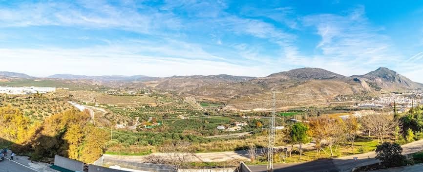 Hotel Abades Manzanil