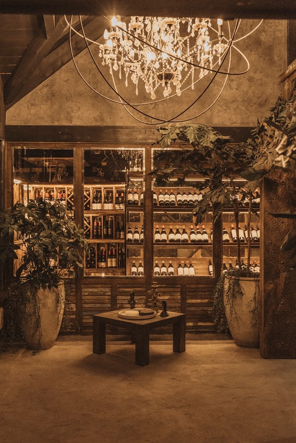 Mogli Marbella