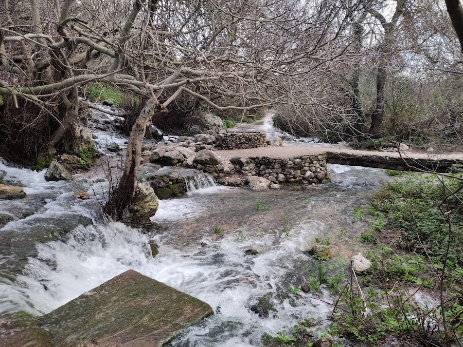 Nacimiento del Río Cerezo