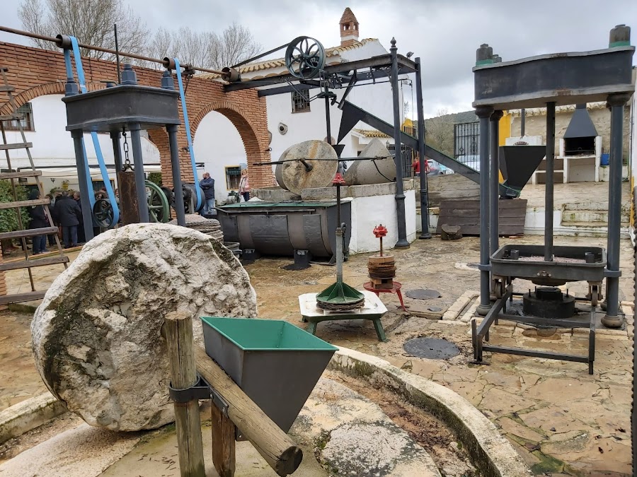 Oleoturismo Molino Jabonero