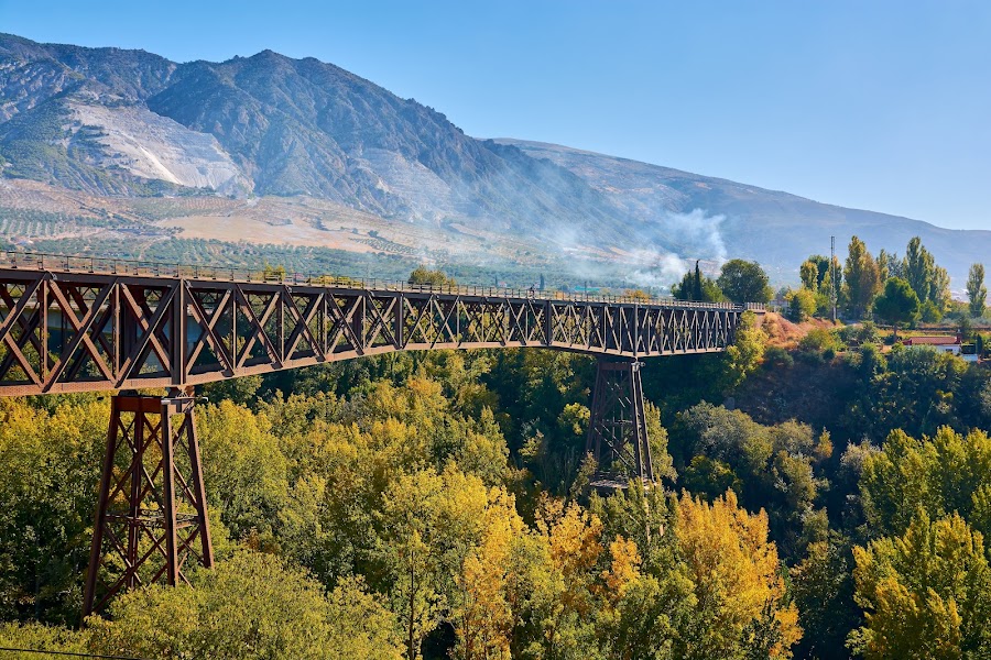 Puente de Hierro (Puente de Lata)