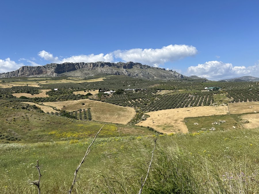 Villanueva de la Concepcion